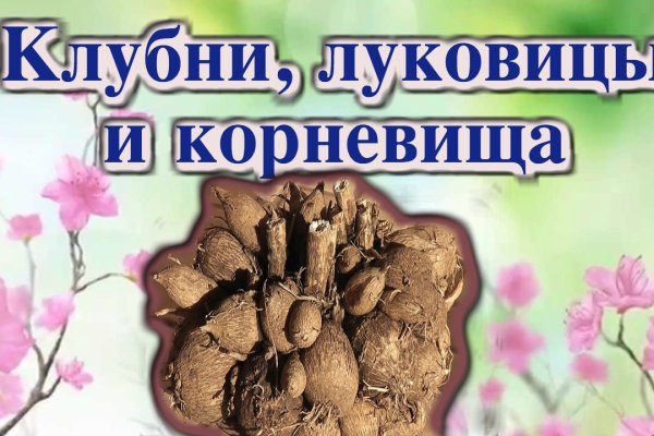 Блэк спрут как зайти bs2web top