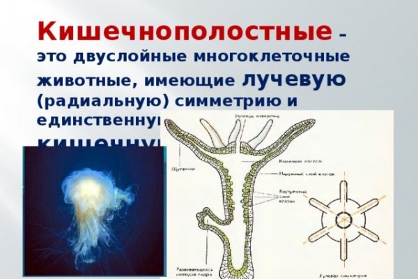 Актуальные ссылки на блэк спрут