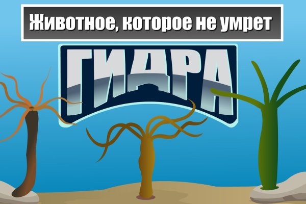 Площадка блэкспрут даркнет