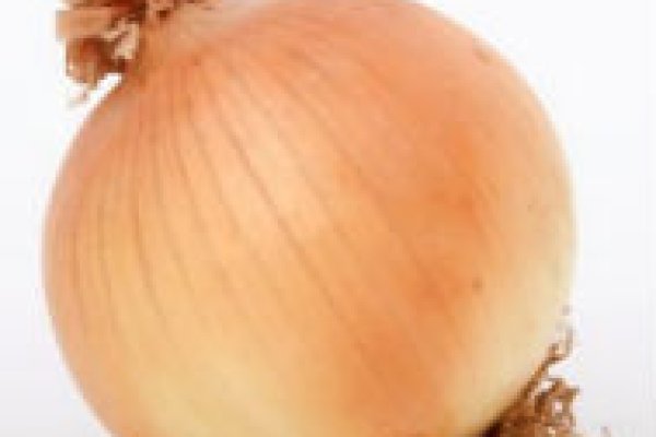 Спрут сайт тор bs onion info