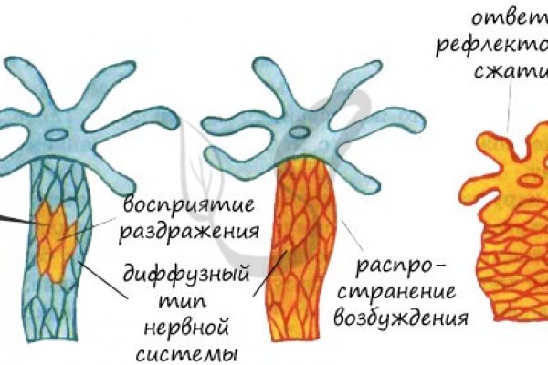 Блэкспрут площадка 1blacksprut me